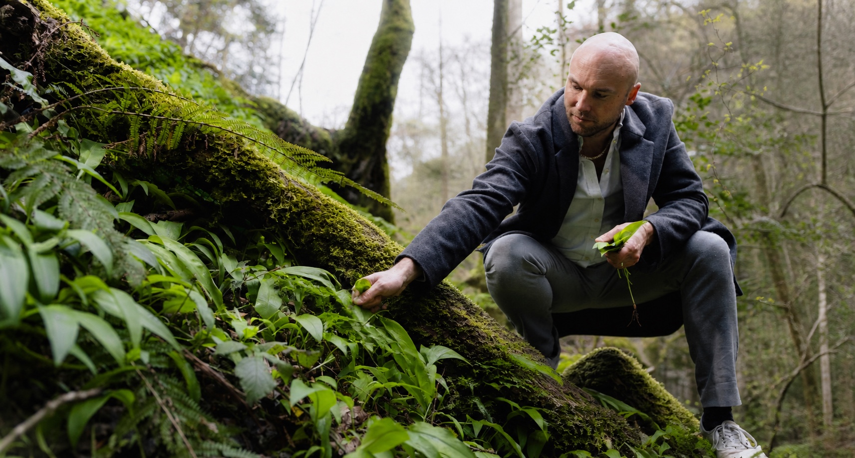 Benjamin Le Maguet cueille de l’ail des ours en forêt