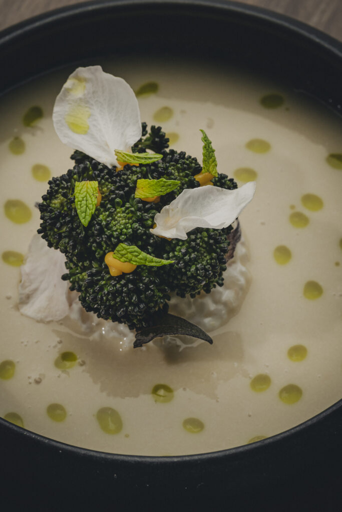 Table 001: les champignons de Mission Mycelium