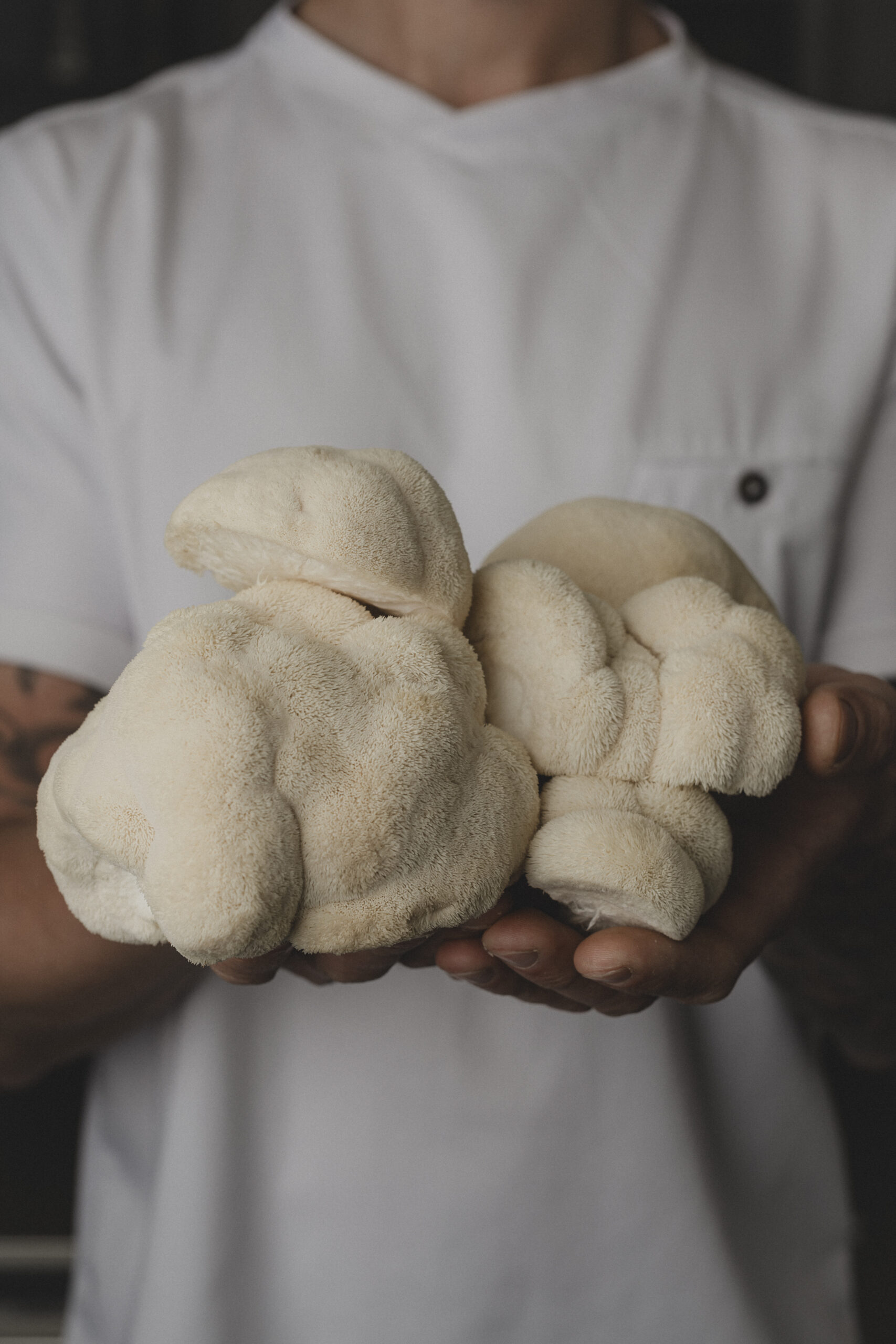 Jérémie Cordier tenant des champignons blancs dans ses mains.