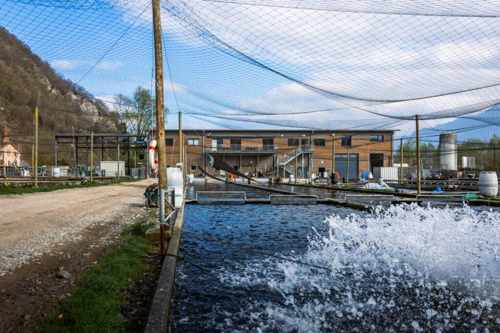 Les bassins et le bâtiment de la Pisciculture de Vionnaz